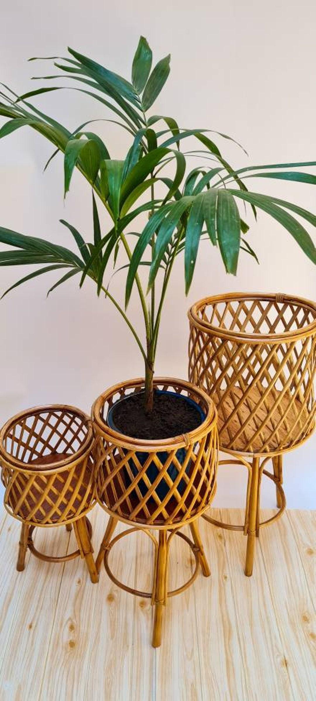 Bamboo plant ⁢stands⁣ elevate greenery in‍ a boho bathroom