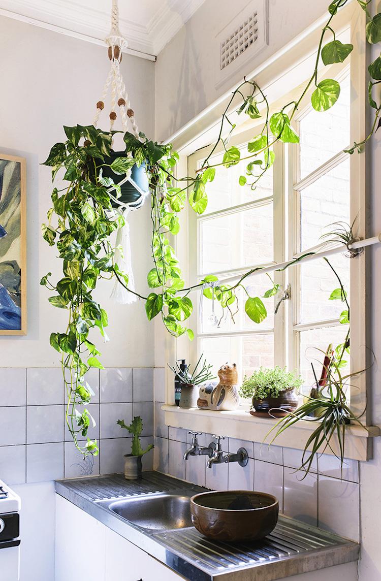 Embrace‍ natural light with hanging plants in your boho bathroom