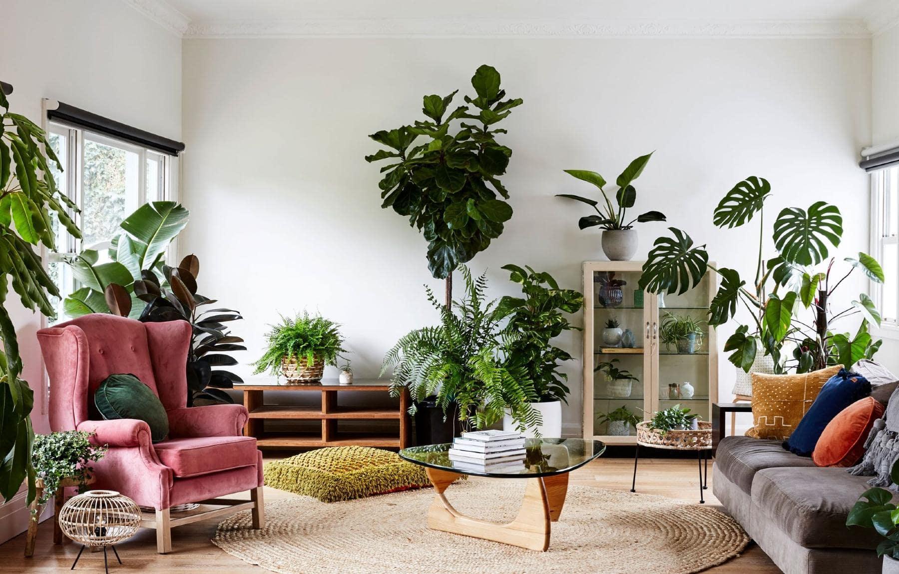 Bring in ⁢houseplants to create a fresh, vibrant atmosphere ‌in ‌your Earthy‍ Living Room