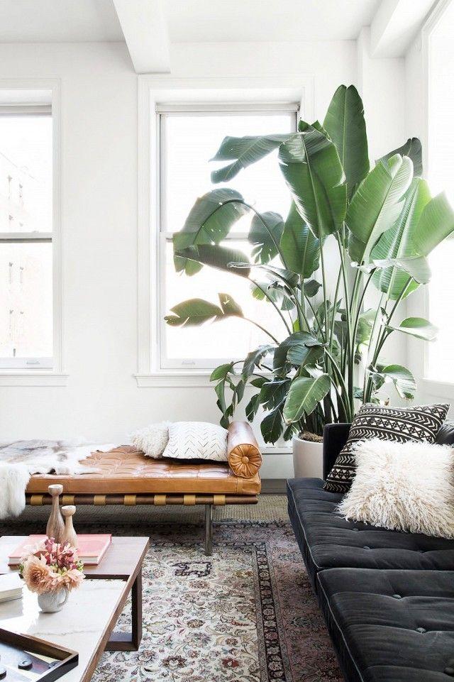 Incorporate oversized plants for a refreshing⁤ vibe in ⁣your contemporary living room