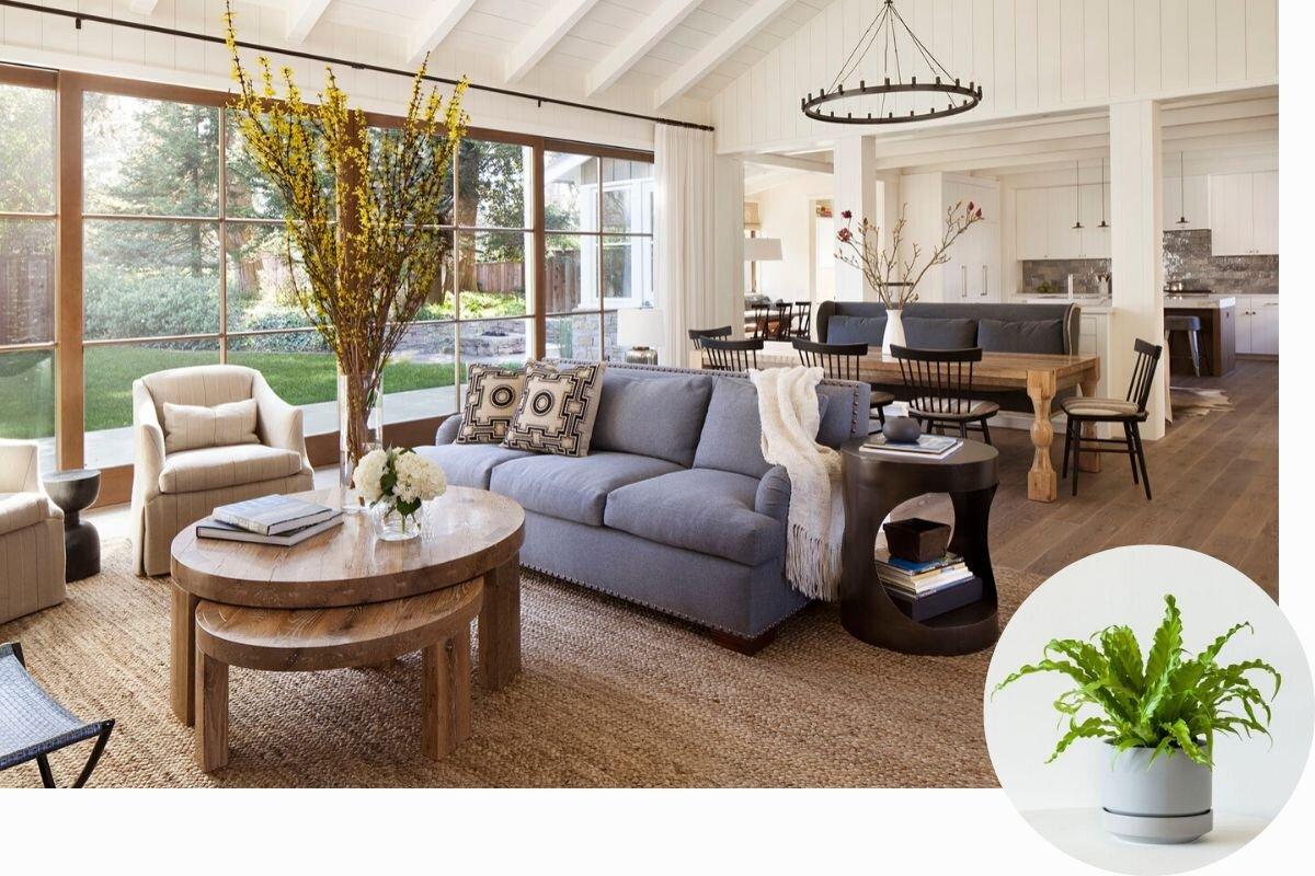 Introduce natural elements like wood and plants for warmth in ​your contemporary living room