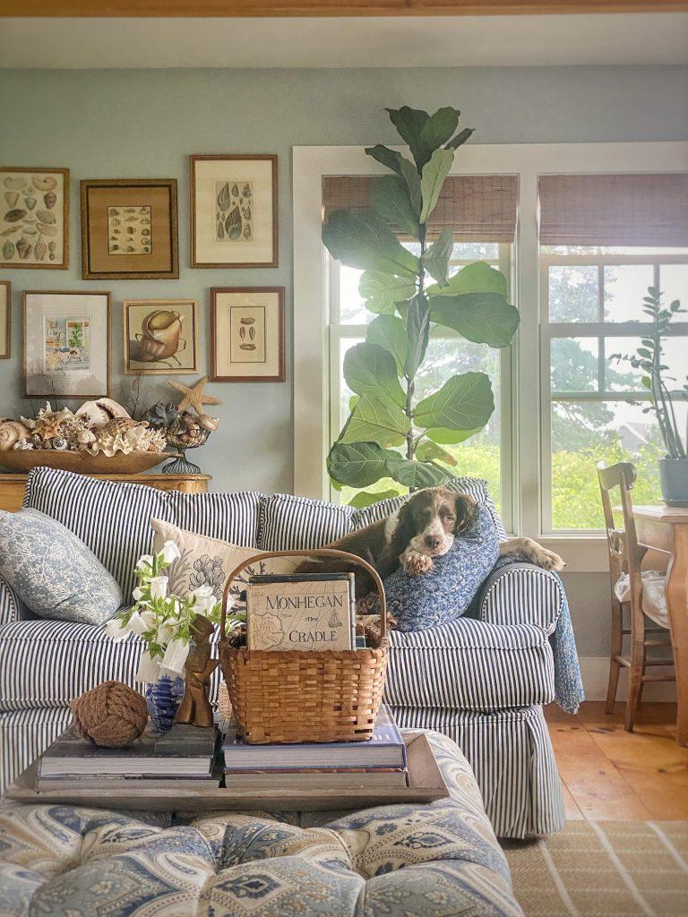 Introduce woven textiles such as jute or seagrass for added warmth in your Earthy Living Room