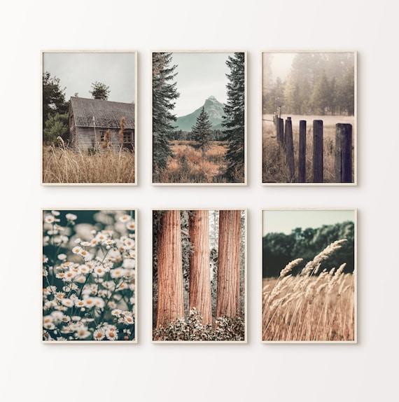 Create a‌ gallery wall featuring nature photographs to inspire your earthy living room space