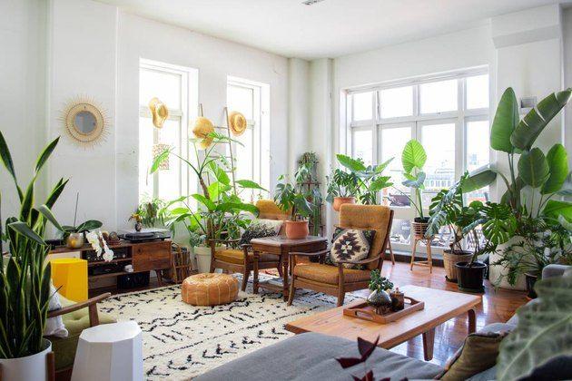 Incorporate vintage plants⁢ and planters for a⁤ natural touch in‌ your living room