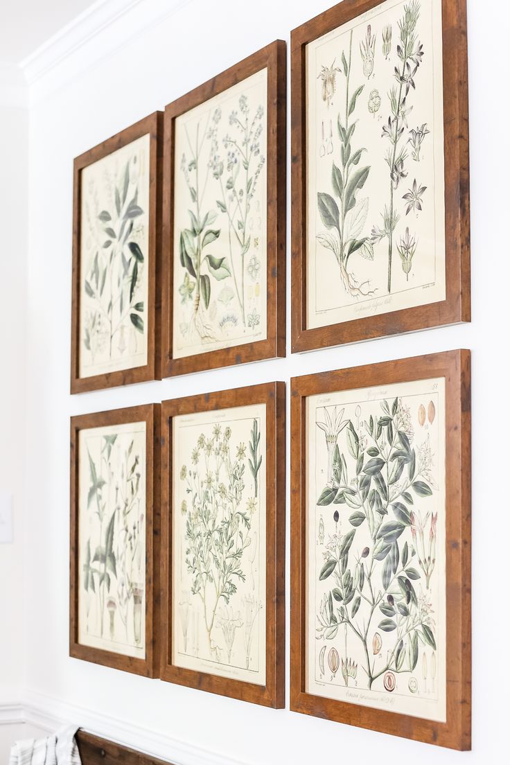 Botany Printable Art and a Wall Decor Hanging Trick
